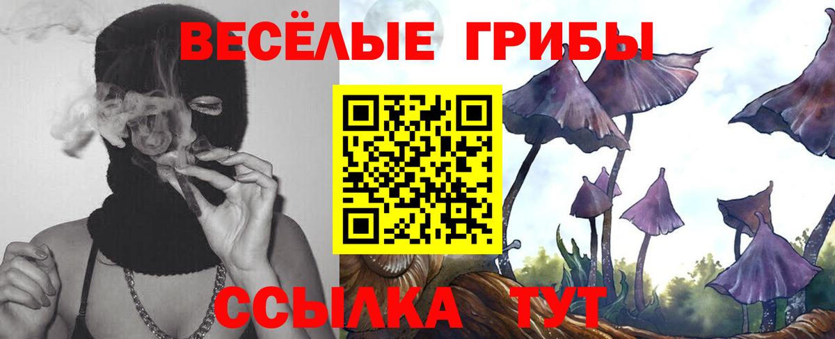 Галлюциногенные грибы Psilocybe  Вход с VPN  Галлюциногенные грибы мицелий  Кизляр 